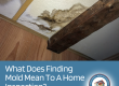 What Does Finding Mold Mean To The Home Inspection?